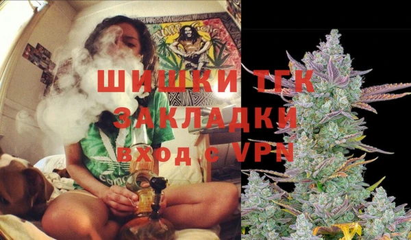 apvp Володарск