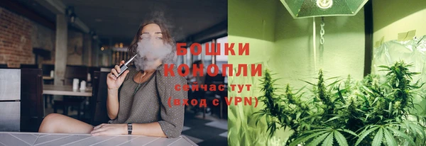 мдпв Верея