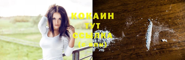 гашик Богородицк
