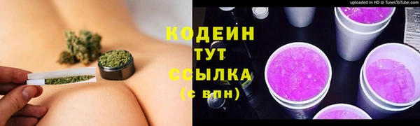 мдпв Верея