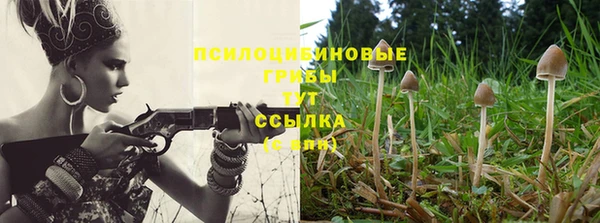 ECSTASY Волоколамск