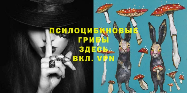 шишки Няндома