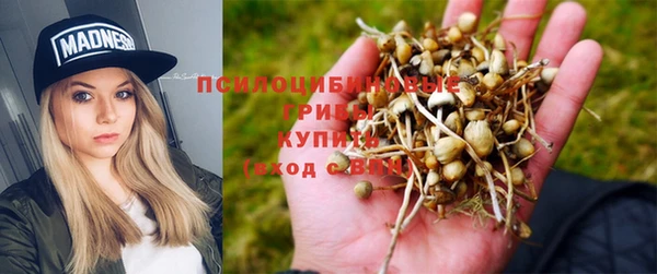 ECSTASY Волоколамск